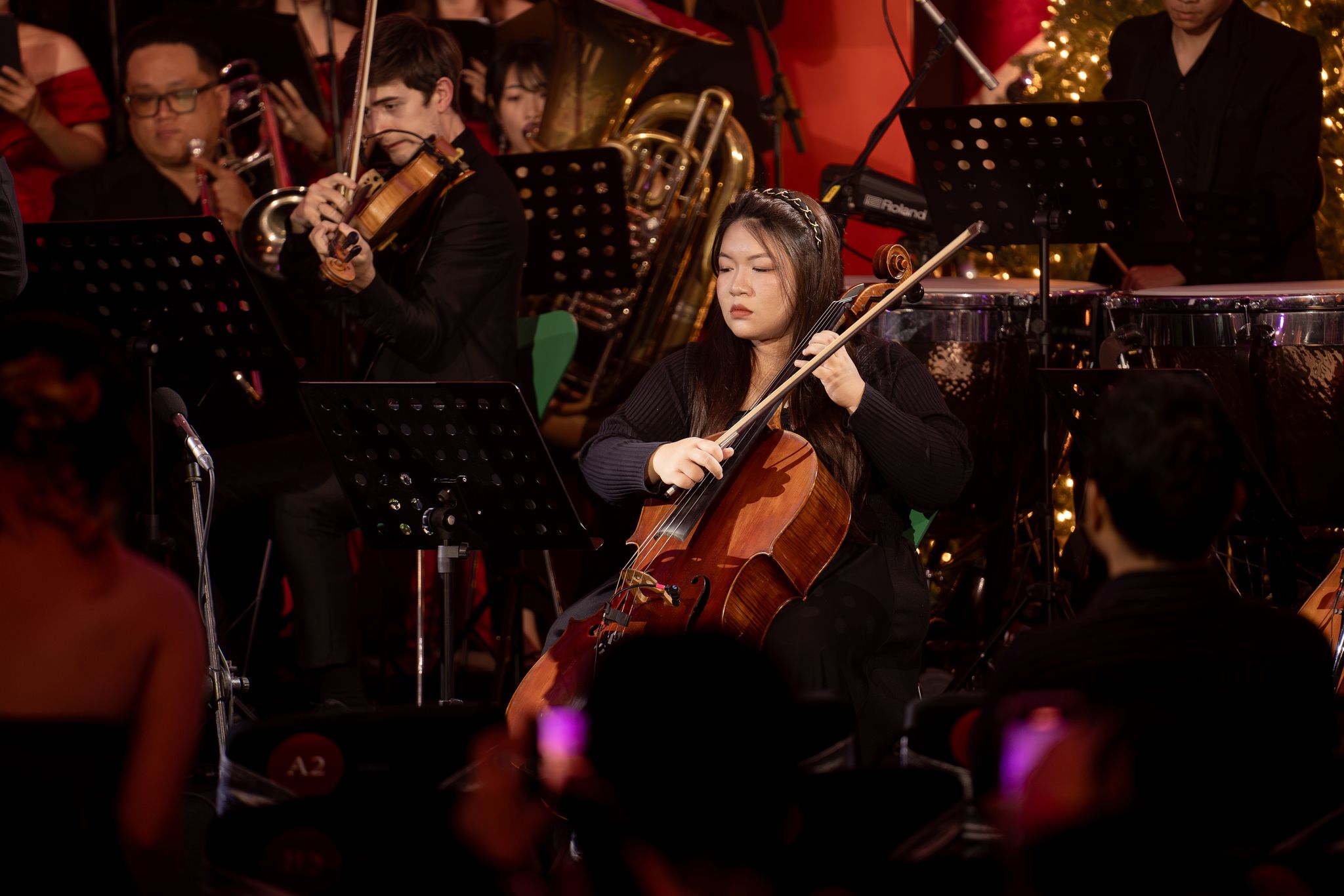 Orchestars Young Artist